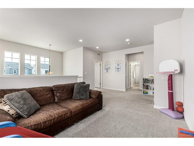 1172 Basalt Ridge Loop, Castle Rock, CO 80108