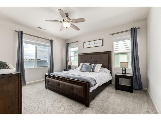 1172 Basalt Ridge Loop, Castle Rock, CO 80108