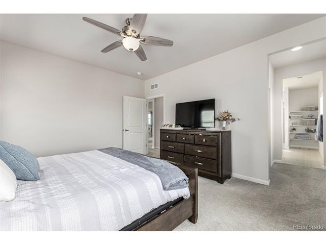 1172 Basalt Ridge Loop, Castle Rock, CO 80108