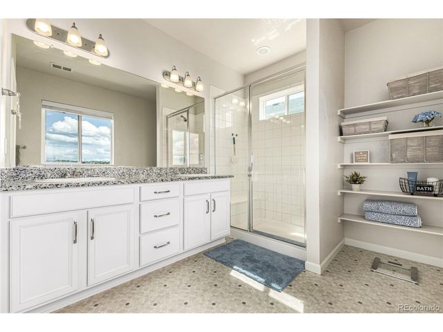 1172 Basalt Ridge Loop, Castle Rock, CO 80108