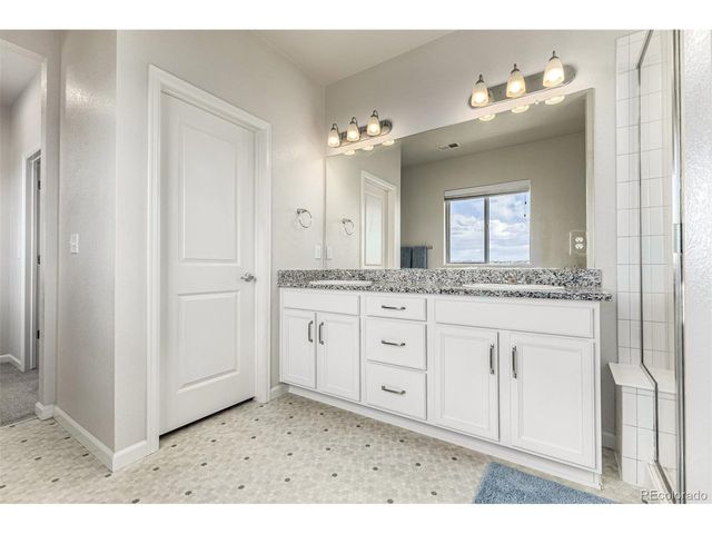 1172 Basalt Ridge Loop, Castle Rock, CO 80108