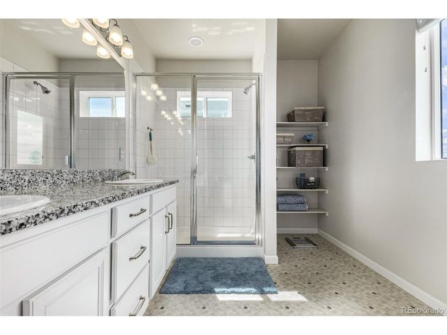 1172 Basalt Ridge Loop, Castle Rock, CO 80108