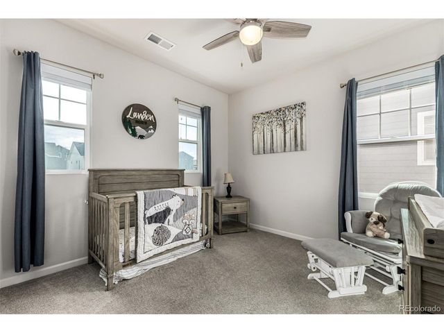 1172 Basalt Ridge Loop, Castle Rock, CO 80108