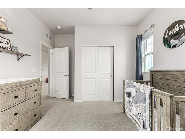 1172 Basalt Ridge Loop, Castle Rock, CO 80108