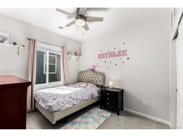 1172 Basalt Ridge Loop, Castle Rock, CO 80108