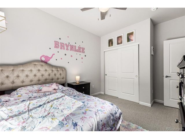 1172 Basalt Ridge Loop, Castle Rock, CO 80108