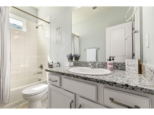 1172 Basalt Ridge Loop, Castle Rock, CO 80108