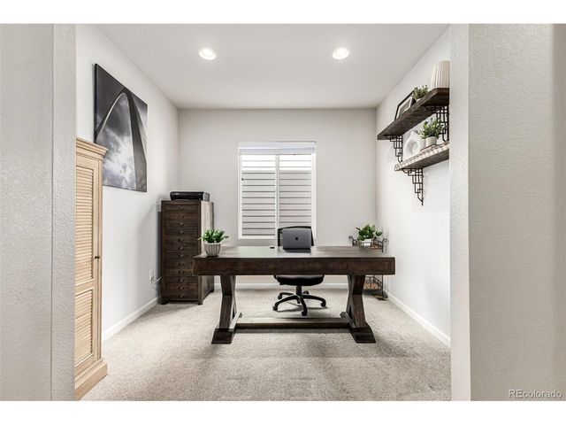 1172 Basalt Ridge Loop, Castle Rock, CO 80108