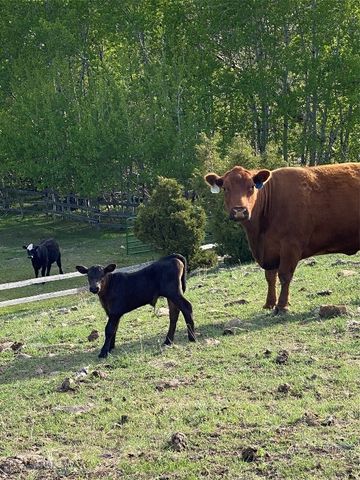 5845 Dry Creek Ranch Road, Whitehall, MT 59759