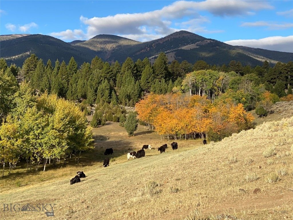 5845 Dry Creek Ranch Road, Whitehall, MT 59759