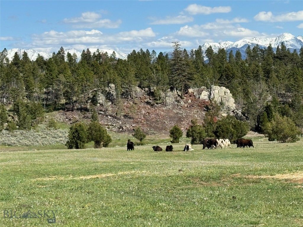 5845 Dry Creek Ranch Road, Whitehall, MT 59759 photo 37
