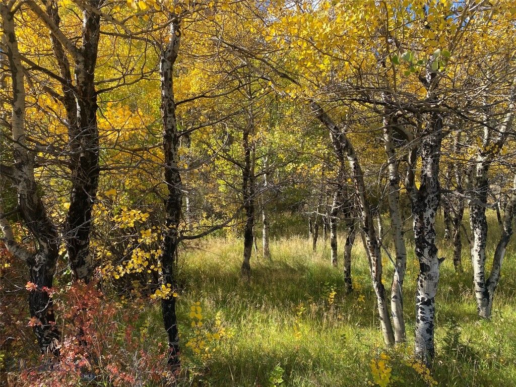 5845 Dry Creek Ranch Road, Whitehall, MT 59759 photo 49