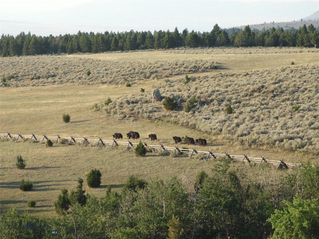 5845 Dry Creek Ranch Road, Whitehall, MT 59759 photo 7