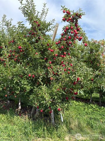 19651 W Hwy 28, Quincy, WA 98848