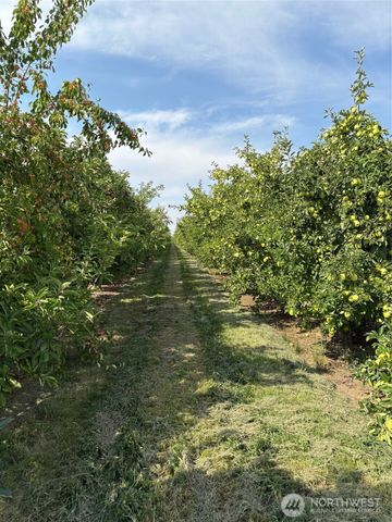 19651 W Hwy 28, Quincy, WA 98848