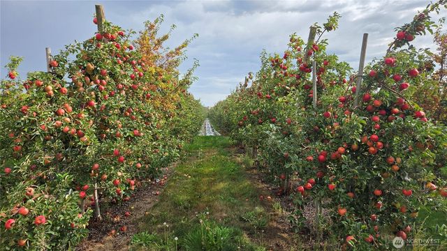 19651 W Hwy 28, Quincy, WA 98848