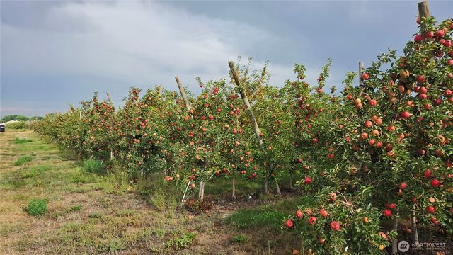 19651 W Hwy 28, Quincy, WA 98848