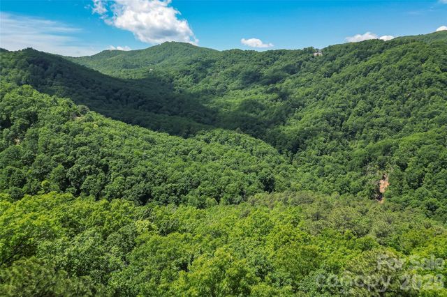 1620 North Haven Drive CC18, Black Mountain, NC 28711