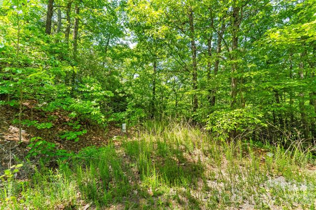 1620 North Haven Drive CC18, Black Mountain, NC 28711