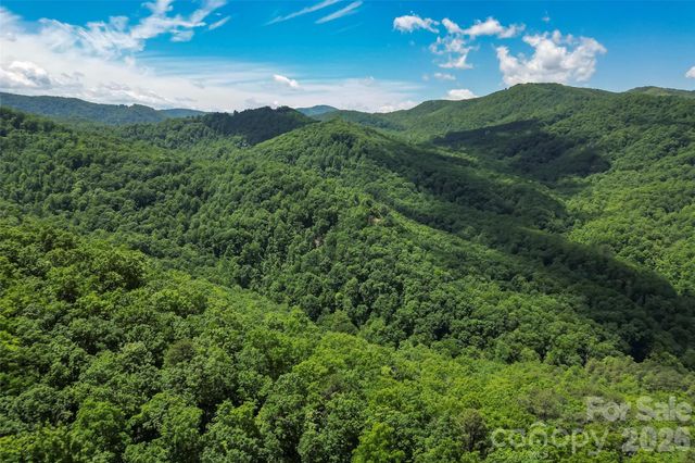 1620 North Haven Drive CC18, Black Mountain, NC 28711