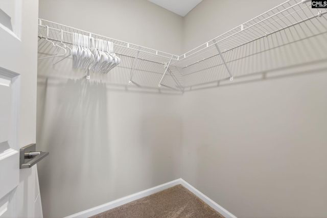 6012 Earnest Leen Drive, Elgin, SC 29045