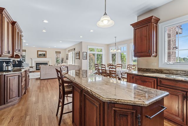 54 Long Cove Drive, Lemont, IL 60439