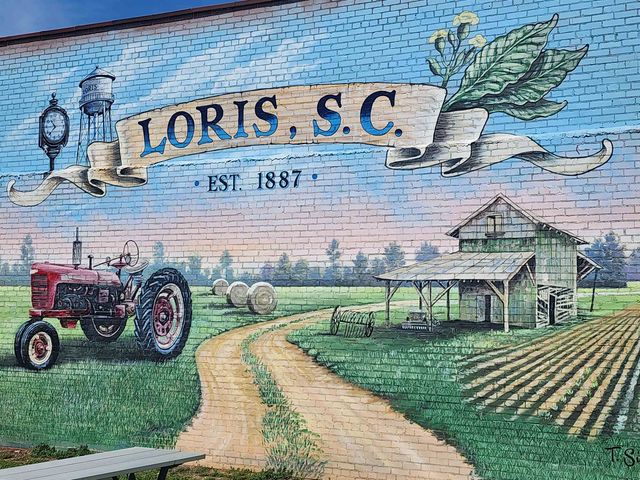 3431 Spivey St., Loris, SC 29569