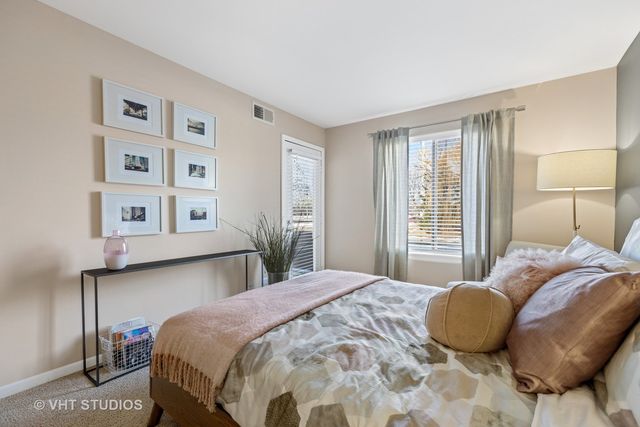 1537 Westminster Drive 204, Naperville, IL 60563