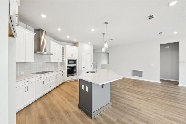 6087 SACRED OAK AVENUE, Mount Dora, FL 32757