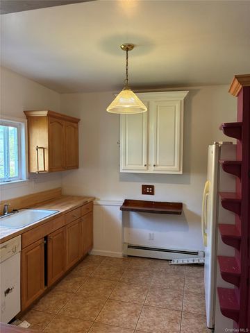 551 Old Route 17, Livingston Manor, NY 12758