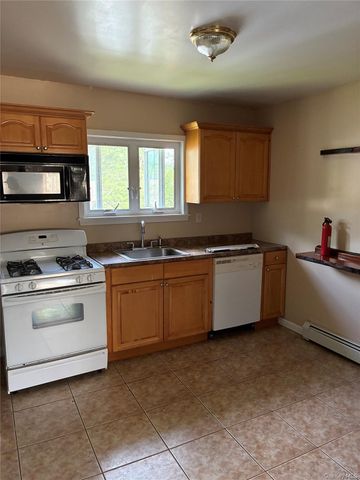 551 Old Route 17, Livingston Manor, NY 12758