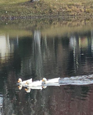 5612 BAKER ROAD, New Port Richey, FL 34653