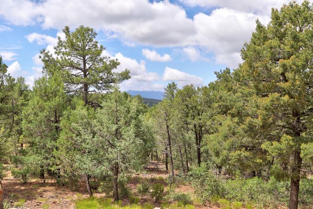 109 Carolino Canyon Road, Tijeras, NM 87059