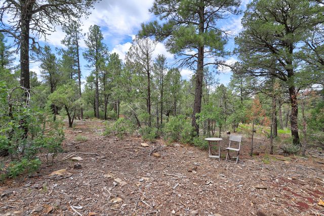 109 Carolino Canyon Road, Tijeras, NM 87059