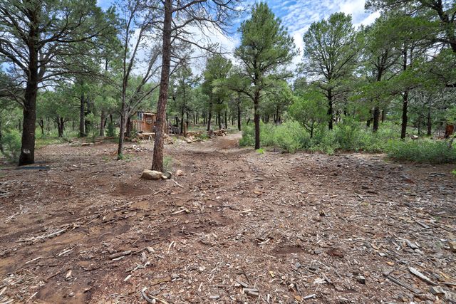 109 Carolino Canyon Road, Tijeras, NM 87059