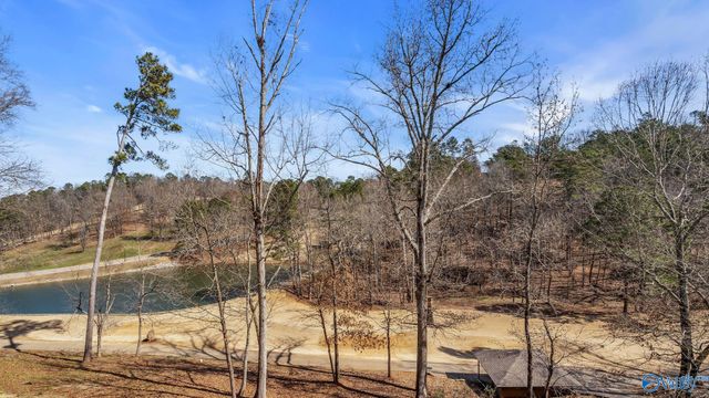 1067 Heritage Drive, Guntersville, AL 35976