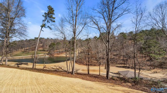 1067 Heritage Drive, Guntersville, AL 35976