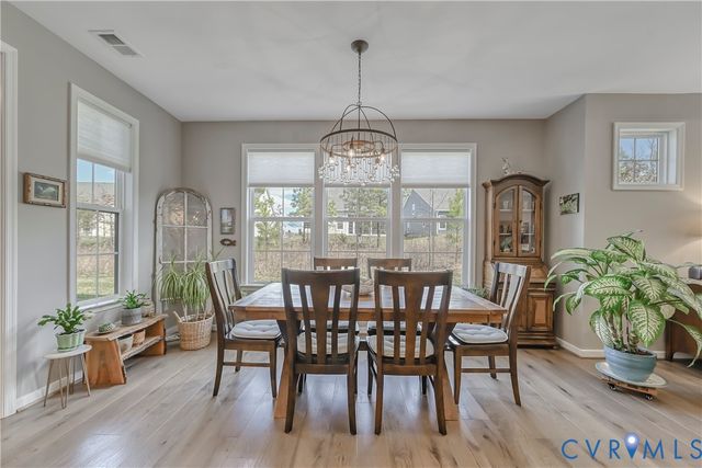 9201 Cerulean Pl, Richmond, VA 23238