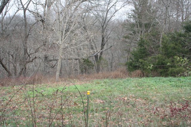 21033 State Highway 86, Cassville, MO 65625