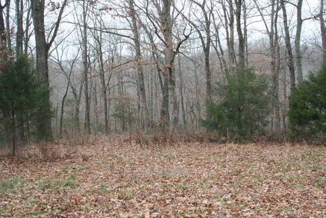 21033 State Highway 86, Cassville, MO 65625