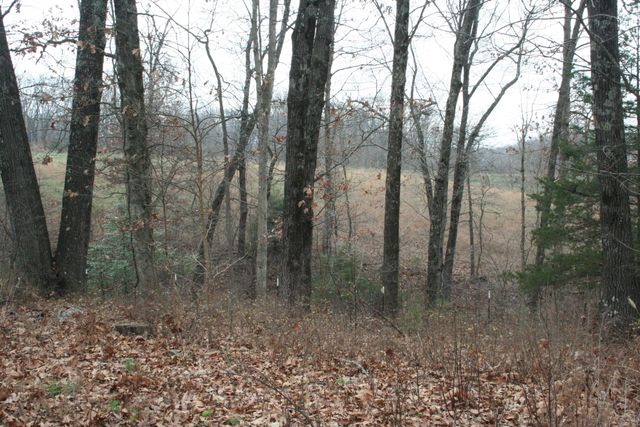 21033 State Highway 86, Cassville, MO 65625