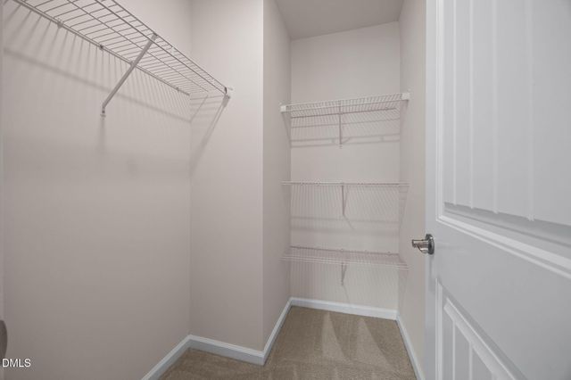 2048 Crampton Grove Way, Cary, NC 27519