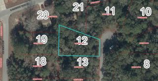 Lot 12 NE 152ND TERR, Williston, FL 32696