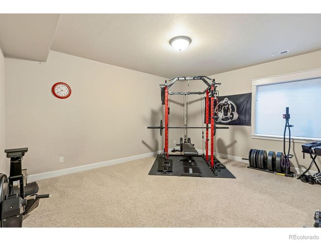 6741 Pumpkin Ridge Drive, Windsor, CO 80550