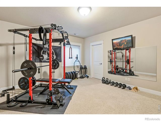 6741 Pumpkin Ridge Drive, Windsor, CO 80550