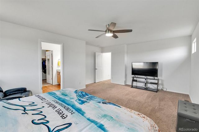 905 Engleby Drive, Colorado Springs, CO 80930