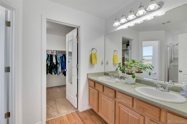 905 Engleby Drive, Colorado Springs, CO 80930