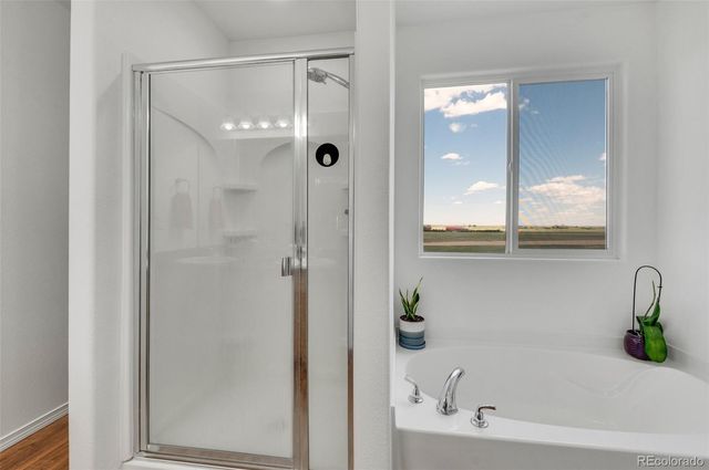 905 Engleby Drive, Colorado Springs, CO 80930