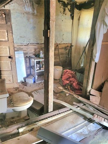 321 S Griffith Street, Hannibal, MO 63401