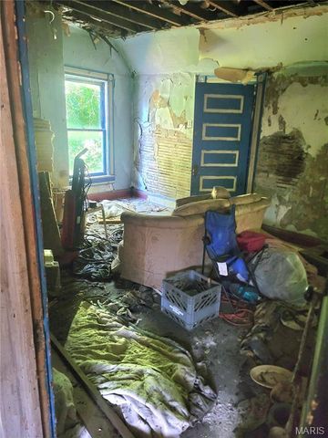 321 S Griffith Street, Hannibal, MO 63401